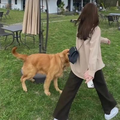 少林传人